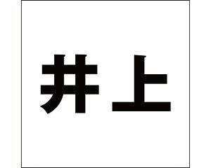 LW SVbN ubN 100×100~p yz