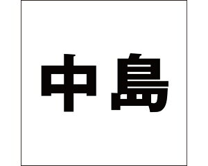 LW SVbN ubN 100×100~p yz