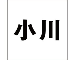 LW SVbN ubN 100×100~p yz