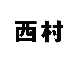 LW SVbN ubN 100×100~p yz