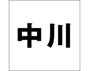 LW SVbN ubN 100×100~p yz