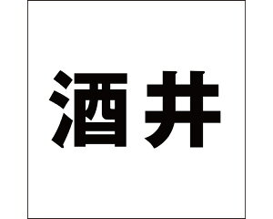 LW SVbN ubN 100×100~p yz