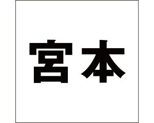 LW SVbN ubN 100×100~p {{yz
