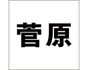 LW SVbN ubN 100×100~p yz