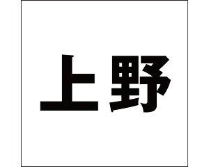 LW SVbN ubN 100×100~p yz