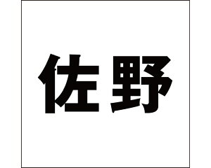 LW SVbN ubN 100×100~p yz