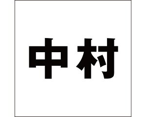 LW SVbN ubN 160×160~p yz