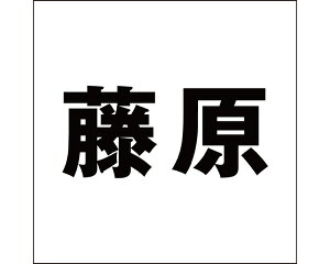 LW SVbN ubN 160×160~p yz