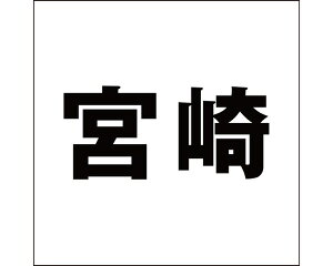 LW SVbN ubN 160×160~p {yz