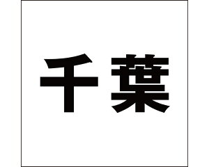 LW SVbN ubN 160×160~p tyz