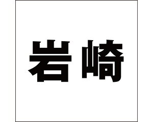 LW SVbN ubN 160×160~p yz