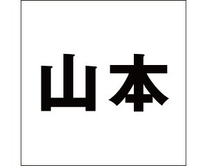 LW SVbN ubN 200×200~p R{yz