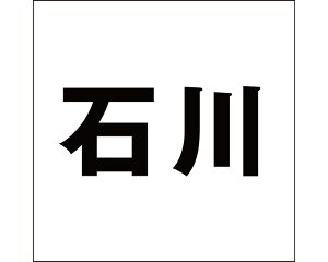 LW SVbN ubN 200×200~p ΐyz