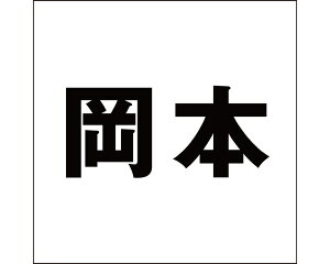 LW SVbN ubN 200×200~p {yz