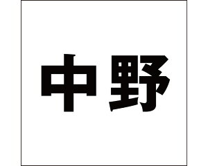 LW SVbN ubN 200×200~p yz