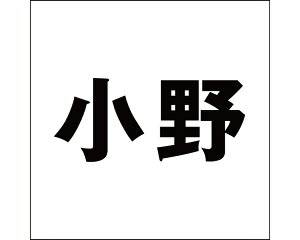 LW SVbN ubN 200×200~p yz