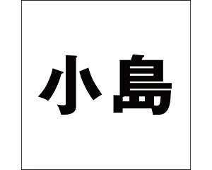 LW SVbN ubN 200×200~p yz