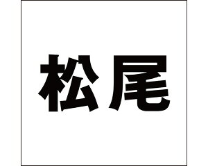 LW SVbN ubN 200×200~p yz