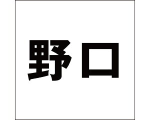 LW SVbN ubN 200×200~p yz