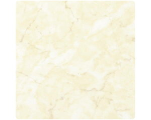 \DpAN100mmp×2mmy[mXLV[g\