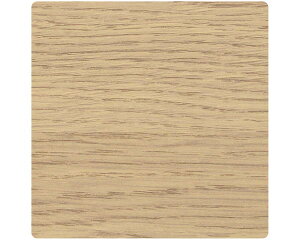 \DpAN100mmp×2mmC[kI[NV[g\