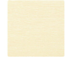 \DpAN100mmp×2mmzCgI[NV[g\