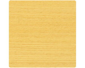 \DpAN100mmp×2mm JnV[g\