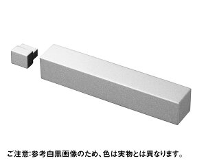 10L-N0003-SC XCh{gyEGXg AgahoV[Yz