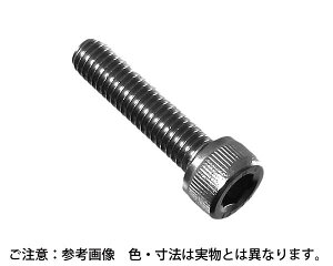 Zpt{g  10×20@F100ynCWbNz