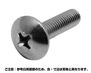 (vX)gXlW XeX 4x12 1000yRmGz