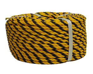 W[viHMj9|100 8~X100My܂HƁz