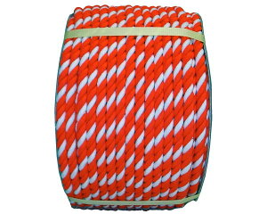 ANg[v@12~ 100M@hy܂HƁz