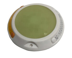 LUMINOUS-MAXLANE110���~��MAX���[���y�܂���H�Ɓz