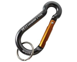 SK11EA~JriCESAC|880CubNyYƁz