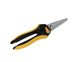 SK11E\͂ADXg[gESAD|210SyYƁz