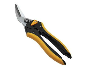 SK11E\͂ADJ[uESAD|200CyYƁz