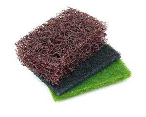 SK11EhOnZbgBSHpEyYƁz