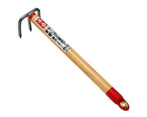 gEO{܂ŁESRC|12yYƁz