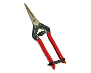 `J}TEXeXET|55SHyYƁz