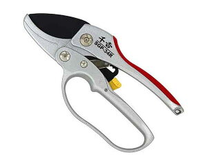 gEnfB`FbgESGP|34RyYƁz