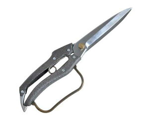 jVKLEv200t4nEN|207270MMyYƁz