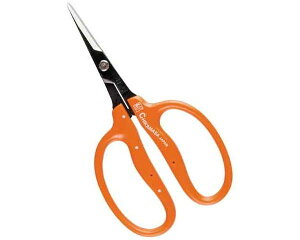 `J}TEEԁEEB|500HyYƁz