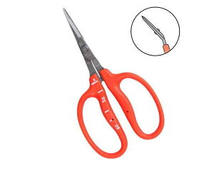 `J}TEXeԂǂL^EB|500SLyYƁz