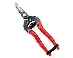 AXEEV[g^CvE300S|BPyYƁz