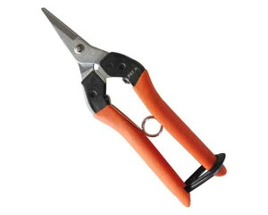 T{eEVCJbgB|8ENODB|8yYƁz