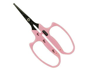 T{eEԂǂے-B|6BENoDB|6ByYƁz