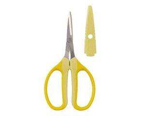 AXEԍރNtg`LFEFW|330H|YyYƁz