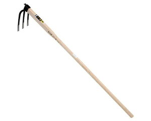 gE^OL̂ݐE4D5VNyYƁz