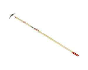 gE-on^-XeE1200MMyYƁz