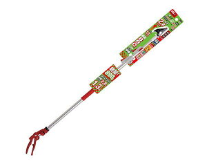 �A���X�E���C�g�`���LW�Y�[���V���[�g�E150ZZ�|2�D8�|6D�y�����Y�Ɓz